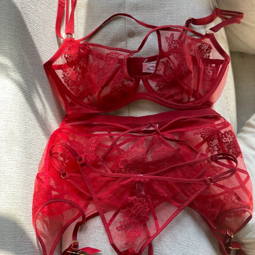 Agent Provocateur Red Demelza